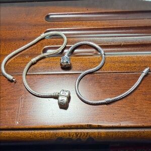 Charms with TWO Bracelets (snake style)